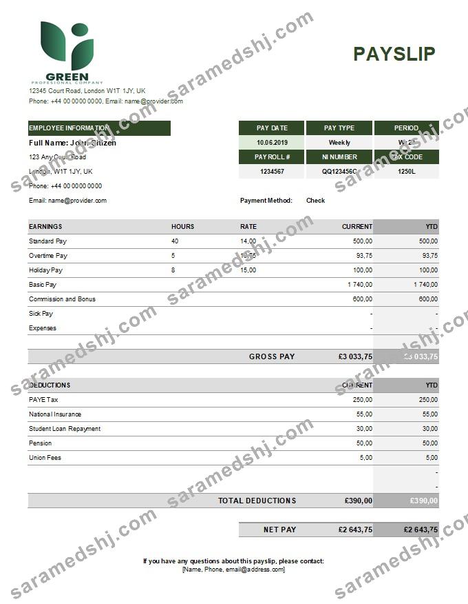green industry earning statement template in Excel and PDF formats